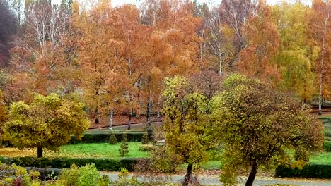 Botanical-Garten