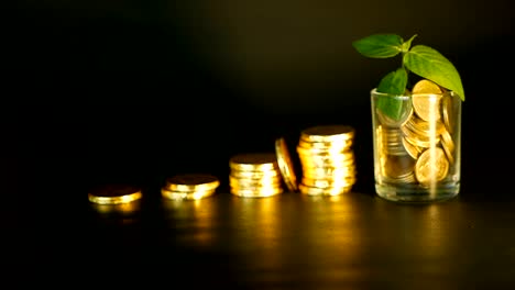 Management-efficiency.-Stacks-of-golden-coins-near-full-glass-and-green-leaf-of-sprout-on-black-background.-Success.