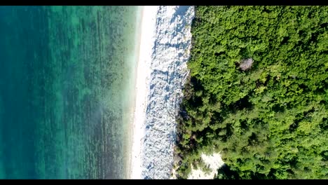 Aerial-photography,-blue-sea-and-green-forest.-Stone-sea-shore.