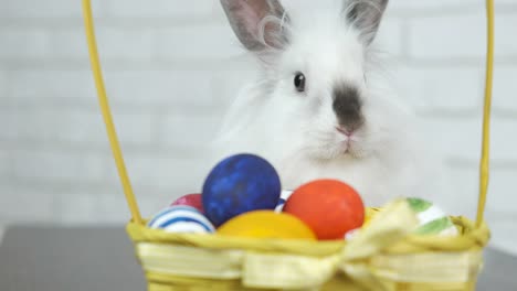 White-Easter-bunny-with-a-basket-of-eggs.