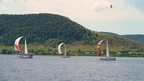 Sailing-yacht-river