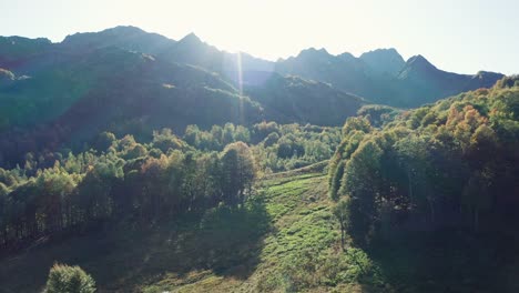 Aerial-view.-drone-moving-over-trees-crones