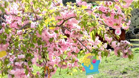 Osterbaum-im-Garten---Moderner-öffentlicher-Baukindergarten---Kindergarten