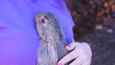 Concepto-lindos-animales-hermosos.-Conejito-en-manos-de-una-adolescente.-Ganadería-y-agricultura,-granja-de-conejos,-niños-y-animales,-vacaciones-de-verano.-Póngase-en-contacto-con-el-zoológico-con-conejitos-y-mascotas.-Primer-plano.