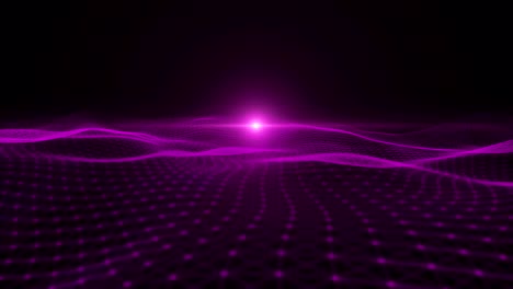 Purple-particle-dimension