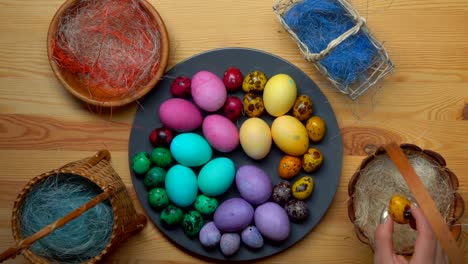 Woman's-hand-takes-yellow-colored-quail-egg-and-laid-it-to-easter-eggs