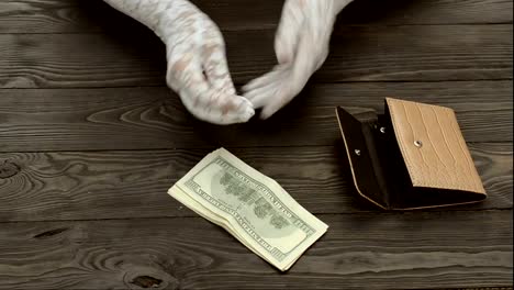 Woman's-hands,-in-white-lace-gloves,-count-the-US-cents-coins.