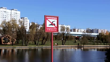 Pond-in-the-city-park