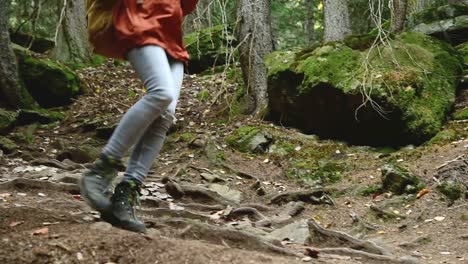 Schlankes-Mädchen-geht-den-Weg-in-den-Nadelwald