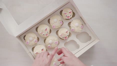 Boxen-Vanille-Cupcakes-in-Form-von-Osterhasen.