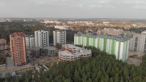 Bosque-de-pinos-en-las-afueras-de-la-ciudad.-Irpen.-Ucrania