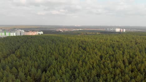 Bosque-de-pinos-en-las-afueras-de-la-ciudad.-Irpen.-Ucrania