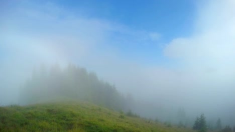 Sommer-Berge-Landschaft.