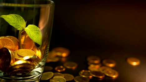 Golden-coins-in-glass-jar-and-green-leaf-of-sprout-on-black-background.-Rotating,-twisting,-swirling,-spinning-penny.