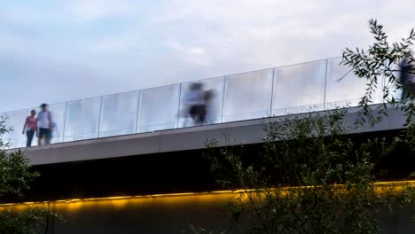 los-turistas-caminar-y-toman-fotos-en-el-puente-con-un-buen-mirador,-lapso-de-tiempo