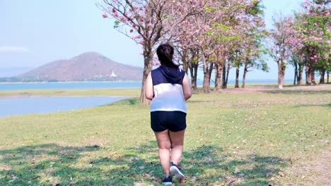 Una-mujer-asiática-gorda-que-trota-en-la-luz-del-sol-natural-por-la-mañana.
Ella-está-tratando-de-perder-peso-con-el-ejercicio.--concepto-de-salud-con-ejercicio.