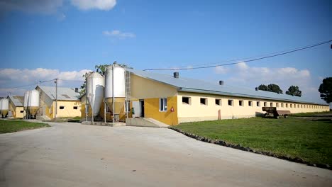 Cowshed-on-a-dairy-farm.-A-farm-building-in-the-countryside.-Outdoors.-Agriculture-industry,-farming.