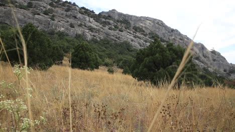 Hiking-trail-on-Caraul-Oba-mountain.-Path-through-field-of-dry-grass.-Crimea,-Novyi-Svit.