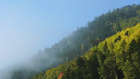 Mañana-brumosa-en-la-montaña-de-otoño.-Las-nubes-de-niebla-se-elevan-rápidamente-sobre-el-bosque.-Timelaps