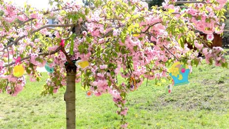 El-árbol-de-Pascua-en-el-jardín---Edificio-Público-Moderno-Kindergarten---Preescolar