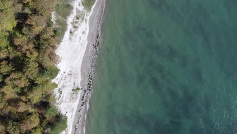 Schöne-Aussicht-kristallklares-Wasser-und-Wald-auf-Klippe-Insel-Drohne-Blick.-Bäume-auf-Klippenfelsen-an-der-Küste-von-transparenten-blauen-Meerblick.-Türkis-Meerwasser-und-grüner-Wald-Top-Ansicht