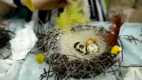 Los-niños-hacen-un-nido-para-las-aves,-nidos-para-aves