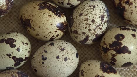 Uncooked-quail-eggs-in-pack.-Rotating-and-closeup.-Nobody