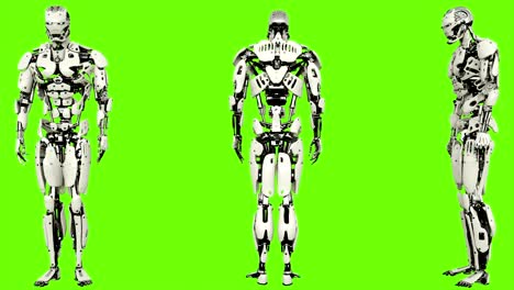 Android-Roboter-ist-Code-eingeben.-Realistische-geschlungene-Bewegung-auf-green-Screen-Hintergrund.-4K