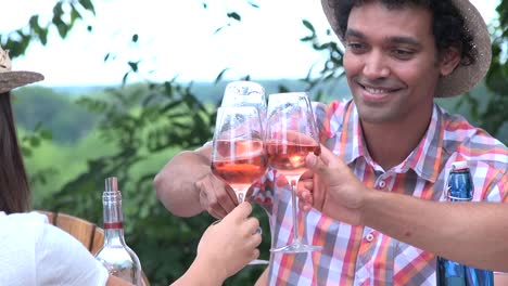 People-having-drinks-outdoors-talking-and-toasting-wine-glasses