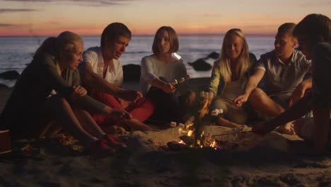 Group-of-People-near-Campfire-Frying-Marshmallows