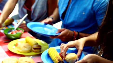 Group-of-friends-having-meal-at-outdoors-barbecue-party