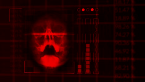 Scan-of-a-human-skull,-looped-red-hud-interface-medical-equipment