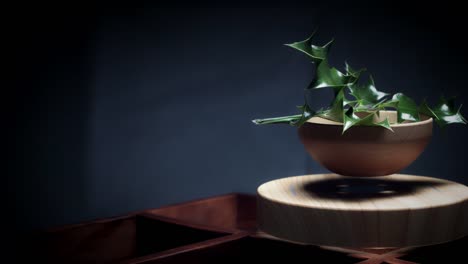 4K-Abstract-Levitation-Platform-with-Plant-on-Black-Background