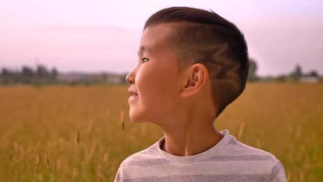 Young-happy-asian-kid-enjoying-sunset-on-wheat-field