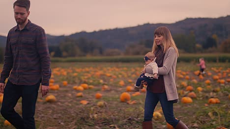 A-couple-finding-a-pumpkin-at-a-pumpkin-patch-and-showing-it-to-their-baby-girl