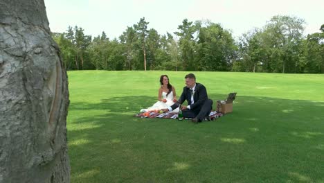 Recién-casados-en-picnic.