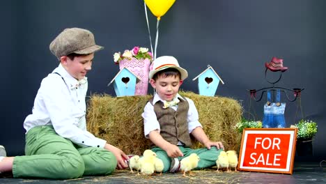 Pueblo,-niños-elegantemente-vestidos-juegan-con-los-patitos-y-gallinas.-Video-con-decoración-temática-de-estudio.-Placa-de-identificación-para-la-venta