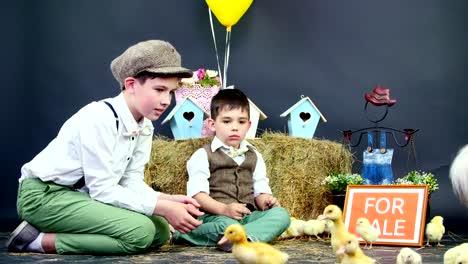 Pueblo,-niños-elegantemente-vestidos-juegan-con-los-patitos-y-gallinas.-Video-con-decoración-temática-de-estudio.-una-placa-con-una-inscripción,-para-la-venta