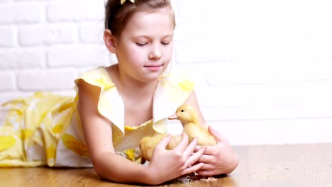 A-little-cute-girl-in-a-yellow-dress-is-playing-with-three-little-yellow-ducklings,-feeding-them-with-herbs.-Ducklings-drink-water-from-a-plate.-Indoors,-on-white-background