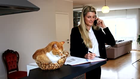 Business-Frau-reden-und-schreiben-und-eine-Katze-in-einem-Korb