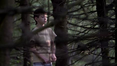 lonely-boy-walks-through-the-forest-in-the-evening