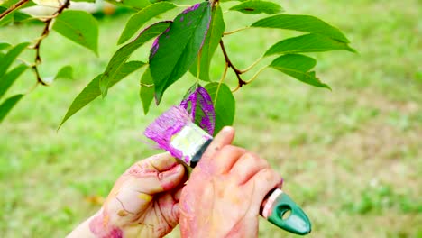 a-little-child,-a-four-year-old-boy-playing,-painting-with-finger-paints,-decorating-leaves-on-the-trees-in-the-garden,-in-the-summer