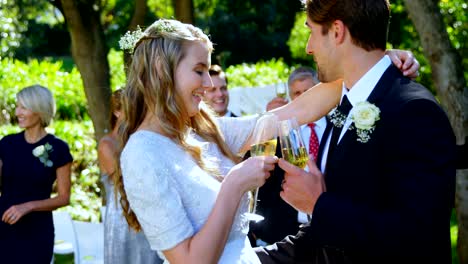 Happy-young-bride-and-groom-toasting-with-champagne-4K-4k