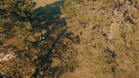 A-young-and-beautiful-wedding-couple-walking-together.-Wedding-day.-Aerial-shot