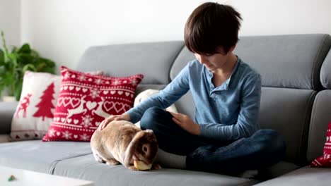 Cute-little-boy-feeding-rabbits-with-apple-at-home