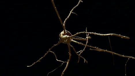 Gold-Neuron-cell-inside-the-brain-in-motion