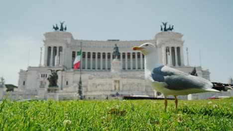 Gaviota-en-el-fondo-Monumento-Nazionale-a-Vittorio-Emanuele-II-en-Piazza-Venezia,-Piazza-Venezia.-Turismo-en-Roma