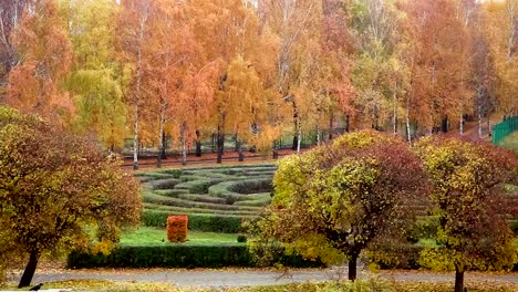 Jardín-Botánico