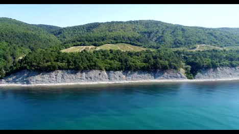 Fotografía-aérea,-mar-azul,-bosque-verde-y-rocoso-acantilado.