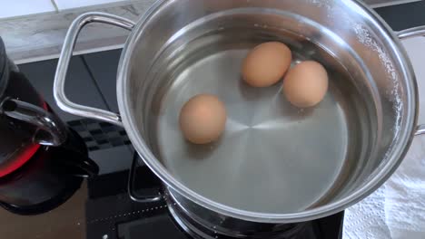 Boiled-eggs-in-the-pan